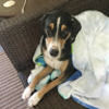finnegan_t